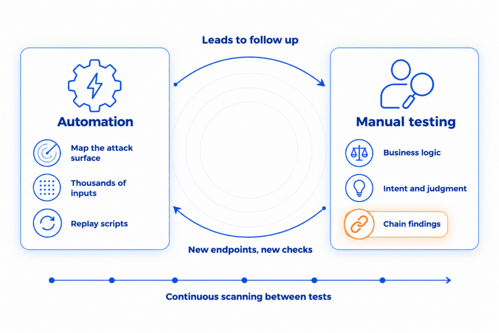 How automated tools and manual testing work together: automation maps the attack surface, runs thousands of inputs, and replays requests; the manual tester judges business logic and chains small findings into an attack path (highlighted); arrows show each side feeding the other, with continuous scanning running between full tests.